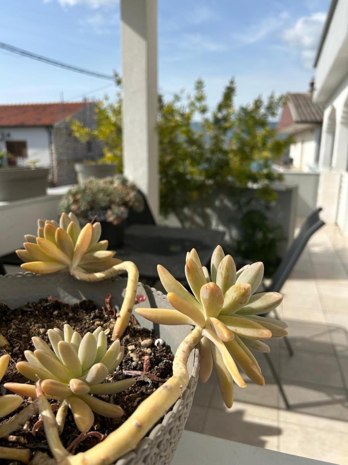 Apartmani Grgic Trogir Exterior foto